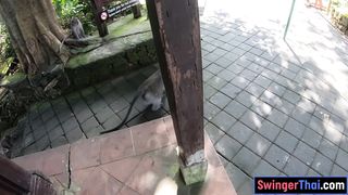 Monkey business and Thai Euro amateur couple sex once back home