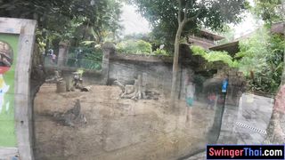 Animal park visit and sex at home with big ass Thai girlfriend