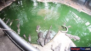 Crocodile feeding and Thai amateur girlfriend wet pussy pleasing
