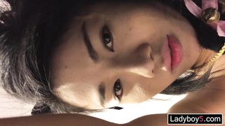 Tiny femboy teen with big boobs POV blowjob and anal doggystyle