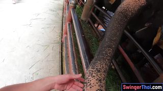 Elephants feeding with amateur Thai girlfriend and sex at home