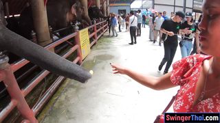 Elephants feeding with amateur Thai girlfriend and sex at home