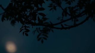 Bronzed Asian Beauty Kazumi Orgy Episode