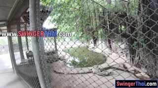 Crocodiles feeding and amateur Thai girlfriend ass spanking