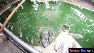 Crocodiles feeding and amateur Thai girlfriend ass spanking